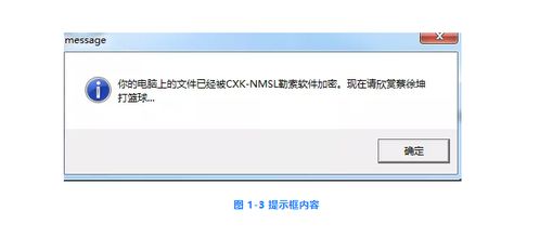 2020年网络安全专题 网络与信息安全软件开发实践与展望